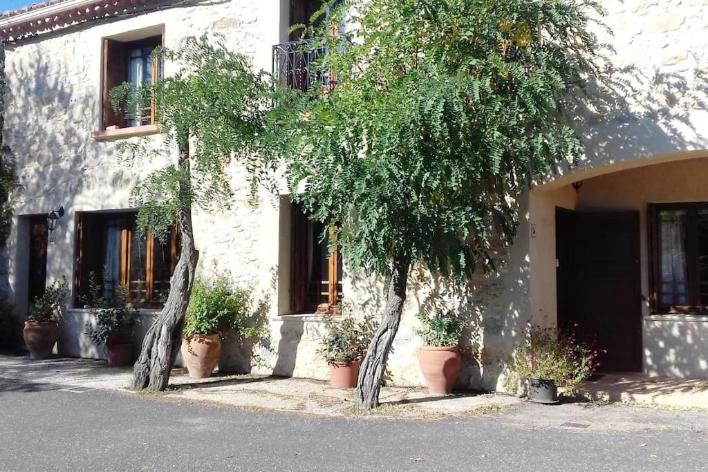 Chez Sheila Apartment Cucugnan Exterior photo